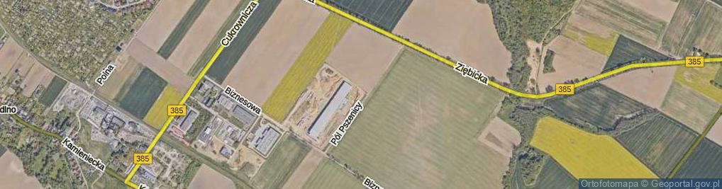 Zdjęcie satelitarne Pól Pszenicy ul.